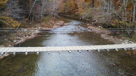 Secluded Hunting Tract on Little South Fork River - Kentucky - image 6