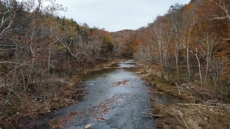 Secluded Hunting Tract on Little South Fork River - Kentucky - image 8