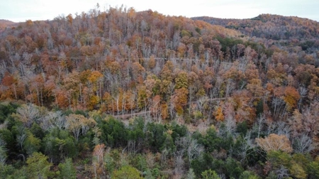 Secluded Hunting Tract on Little South Fork River - Kentucky - image 18