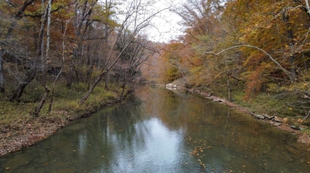 Secluded Hunting Tract on Little South Fork River - Kentucky - image 7