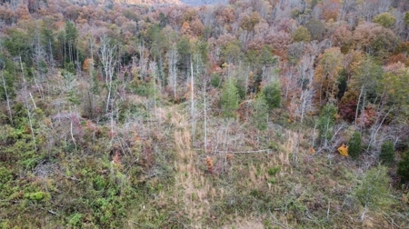 Secluded Hunting Tract on Little South Fork River - Kentucky - image 13