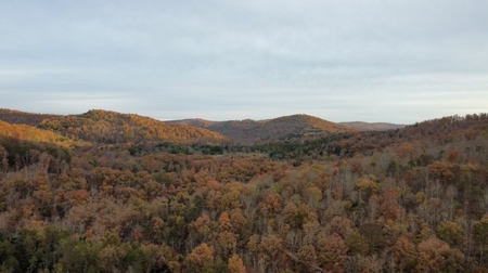 Secluded Hunting Tract on Little South Fork River - Kentucky - image 17