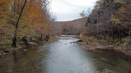 Secluded Hunting Tract on Little South Fork River - Kentucky - image 4