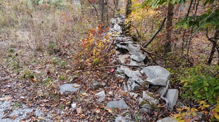 Secluded Hunting Tract on Little South Fork River - Kentucky - image 16