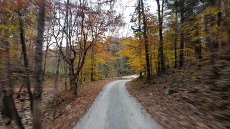 Secluded Hunting Tract on Little South Fork River - Kentucky - image 12