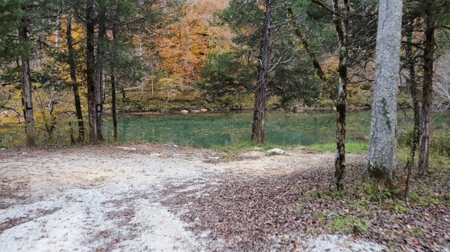 Secluded Hunting Tract on Little South Fork River - Kentucky - image 10