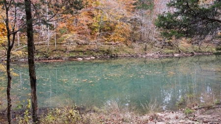 Secluded Hunting Tract on Little South Fork River - Kentucky - image 11