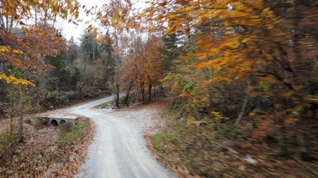 Secluded Hunting Tract on Little South Fork River - Kentucky - image 15