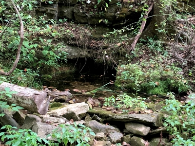 Acreage 4 Min To Buffalo National River---Has It All - image 29