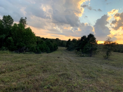 Acreage 4 Min To Buffalo National River---Has It All - image 42