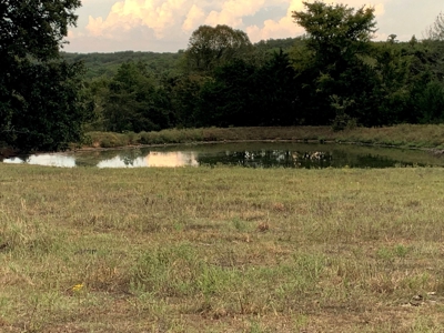 Acreage 4 Min To Buffalo National River---Has It All - image 3