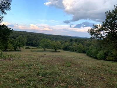 Acreage 4 Min To Buffalo National River---Has It All - image 10