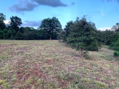 Acreage 4 Min To Buffalo National River---Has It All - image 34