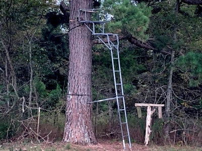 Acreage 4 Min To Buffalo National River---Has It All - image 18