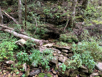 Acreage 4 Min To Buffalo National River---Has It All - image 28