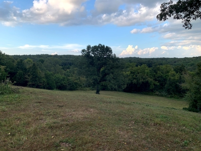 Acreage 4 Min To Buffalo National River---Has It All - image 5