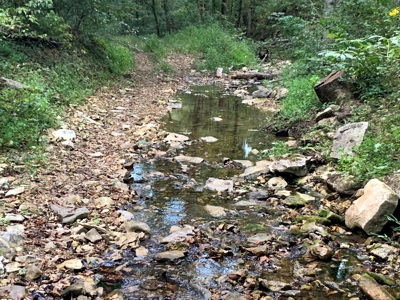 Acreage 4 Min To Buffalo National River---Has It All - image 30