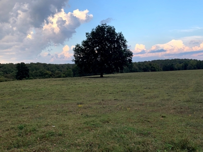 Acreage 4 Min To Buffalo National River---Has It All - image 20