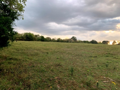 Acreage 4 Min To Buffalo National River---Has It All - image 25