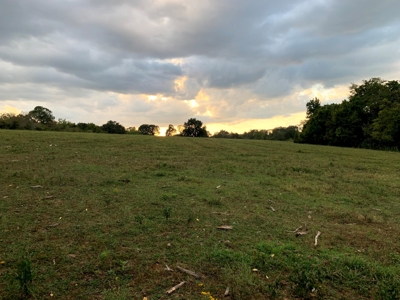 Acreage 4 Min To Buffalo National River---Has It All - image 26