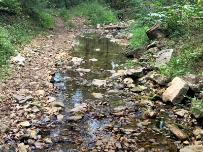 Acreage 4 Min To Buffalo National River---Has It All - image 31