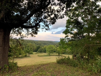 Acreage 4 Min To Buffalo National River---Has It All - image 7