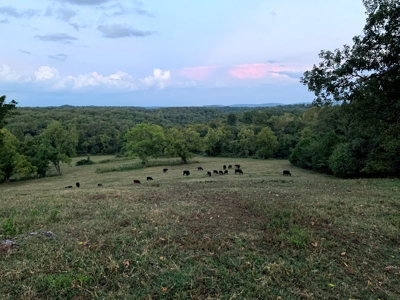 Acreage 4 Min To Buffalo National River---Has It All - image 2