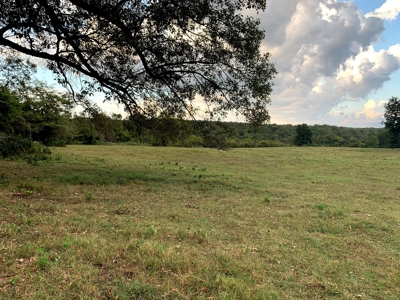 Acreage 4 Min To Buffalo National River---Has It All - image 22