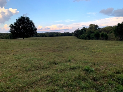 Acreage 4 Min To Buffalo National River---Has It All - image 21