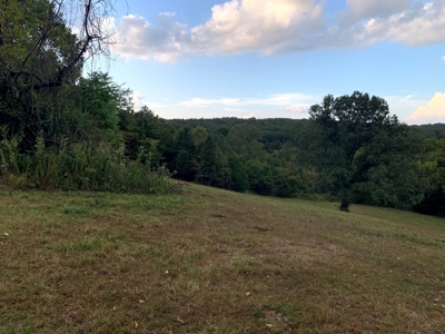 Acreage 4 Min To Buffalo National River---Has It All - image 6
