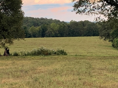 Acreage 4 Min To Buffalo National River---Has It All - image 13