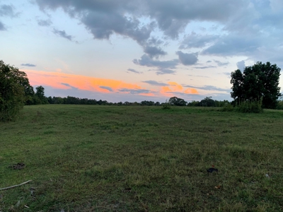 Acreage 4 Min To Buffalo National River---Has It All - image 43