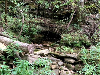 Acreage 4 Min To Buffalo National River---Has It All - image 27