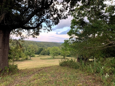 Acreage 4 Min To Buffalo National River---Has It All - image 1