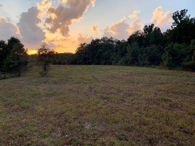 Acreage 4 Min To Buffalo National River---Has It All - image 41
