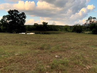 Acreage 4 Min To Buffalo National River---Has It All - image 16