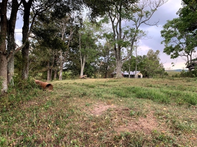 Acreage 4 Min To Buffalo National River---Has It All - image 8