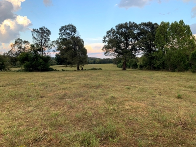 Acreage 4 Min To Buffalo National River---Has It All - image 4