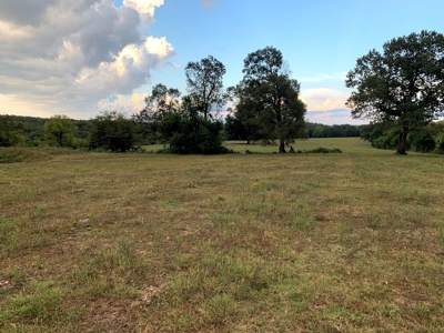 Acreage 4 Min To Buffalo National River---Has It All - image 17