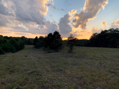 Acreage 4 Min To Buffalo National River---Has It All - image 40