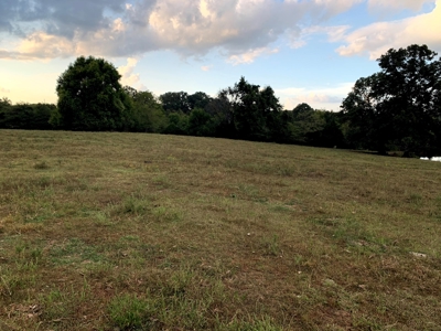 Acreage 4 Min To Buffalo National River---Has It All - image 15
