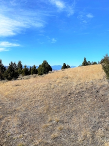 Land For Sale In Virginia City, MT - image 2