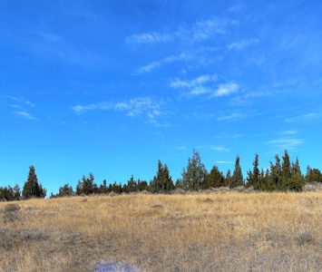 Land For Sale In Virginia City, MT - image 1