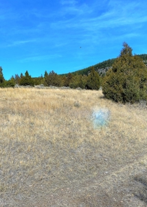 Land For Sale In Virginia City, MT - image 5