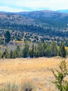 Land For Sale In Virginia City, MT - image 4
