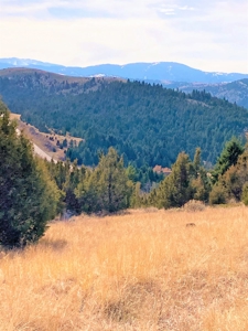Land For Sale In Virginia City, MT - image 3