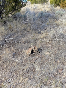 Land For Sale In Virginia City, MT - image 6