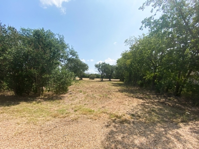 Land for Sale in Central Texas - Small Acreage in Gatesville - image 7