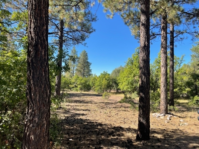 Northern NM Mountain Land, Building Site For Sale, Chama NM - image 1