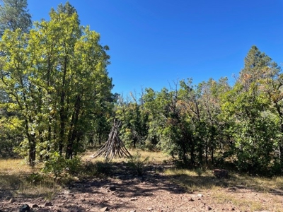 Northern NM Mountain Land, Building Site For Sale, Chama NM - image 6